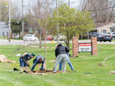 a group of people planting a tree